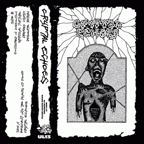 Cryptal Echoes : Cryptal Echoes